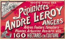 Affiche des pépinières Leroy - 1930