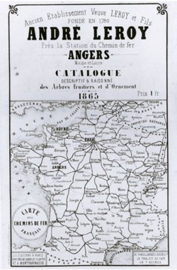 Catalogue des pépinières André Leroy (1865)